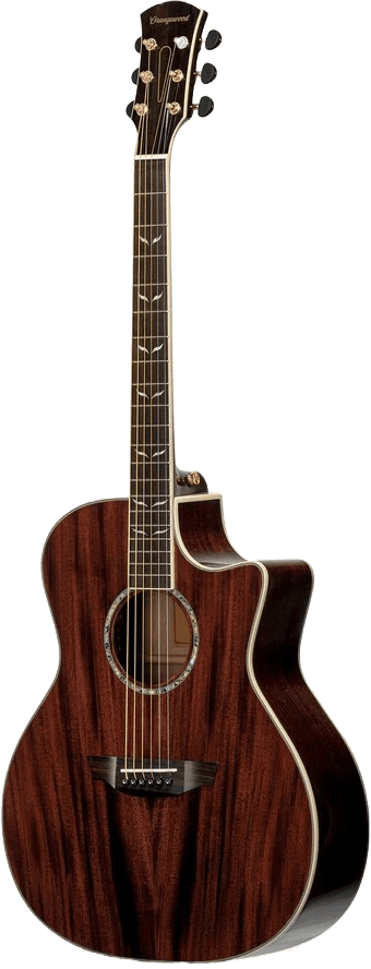 Marrowtone Classic Dreadnought view 1